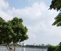 Bán Đất View Hồ Linh Đàm, Phố Hoàng Liệt 119m, Mt 7m. Giá 19 tỷ.