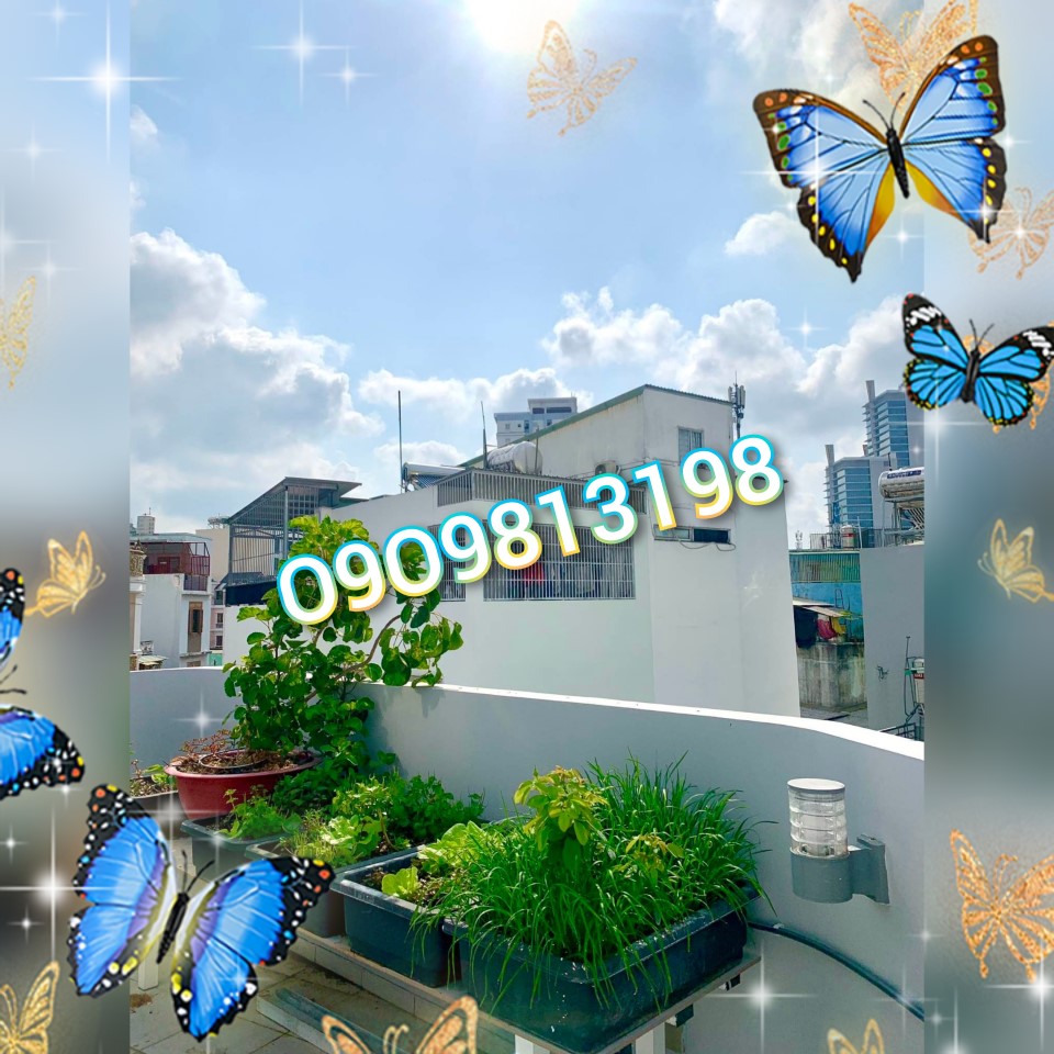 ♥️♥️♥️SHR Quận 3 Tặng NTCC 3PN Đẹp Hẻm an ninh.♥️♥️♥️ - Ảnh chính
