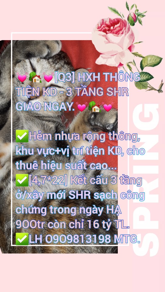 ♥️♥️♥️HXH Quận 3 tiện Ở+KD nhà 11Om2 SHR sang tên ngay.♥️♥️♥️ - Ảnh chính