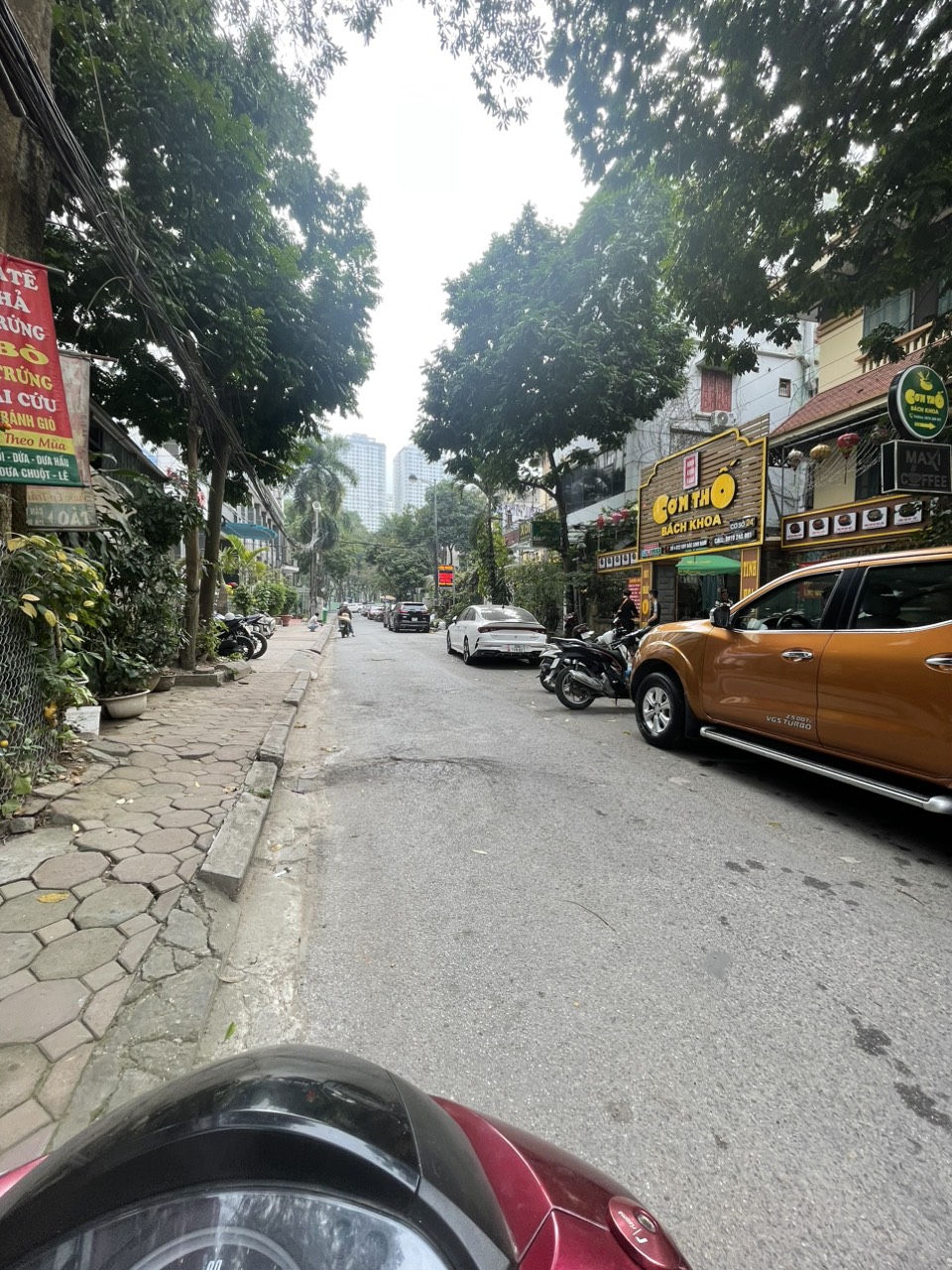 BÁN BIỆT THỰ BT2 KĐT BẮC LINH ĐÀM - Ảnh 3