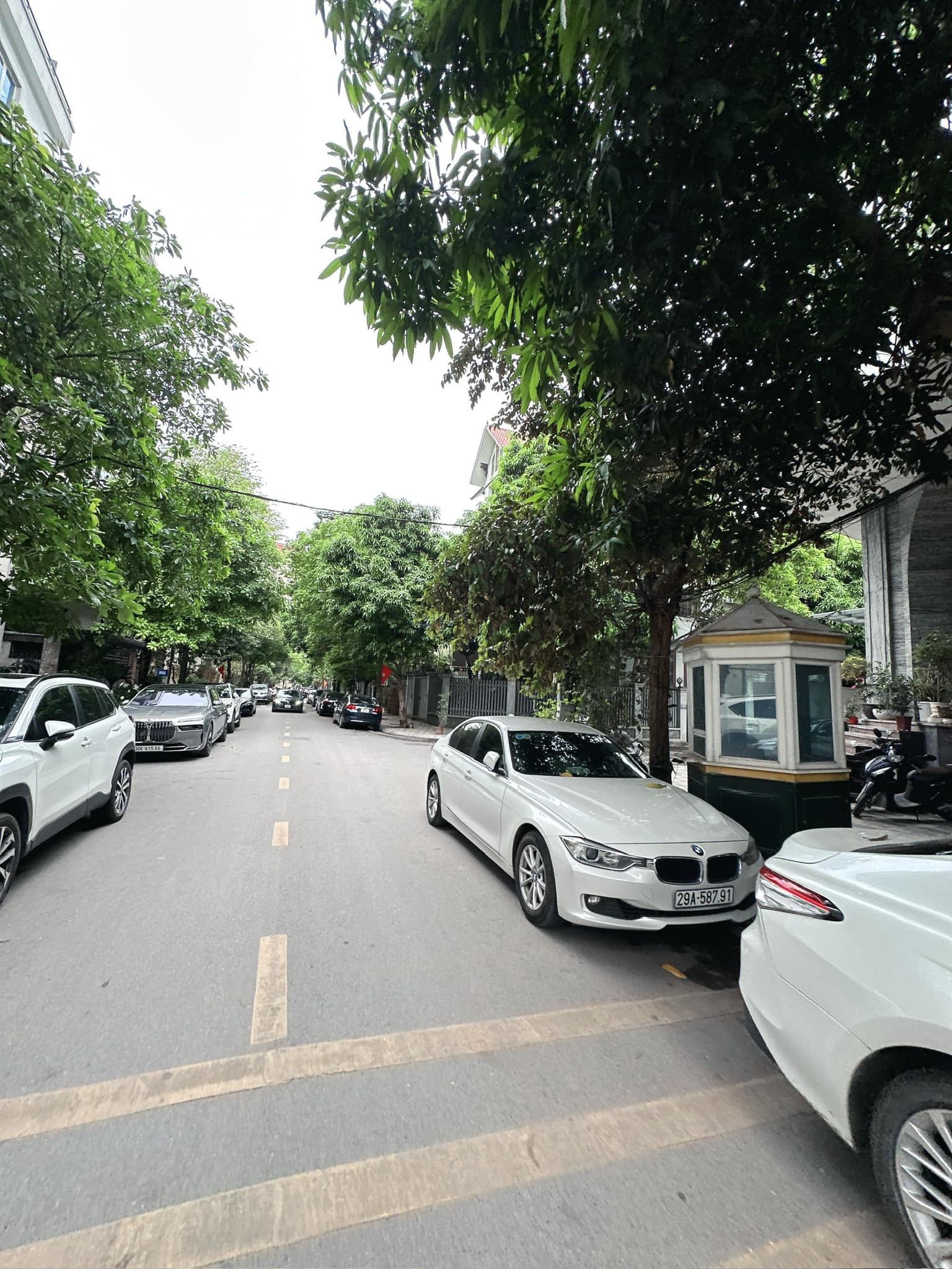 BÁN BIỆT THỰ VƯỜN ĐÀO 203m2, MT15m, THANG MÁY - MẶT TIỀN KHỦNG - ĐẲNG CẤP XA HOA - Ảnh chính