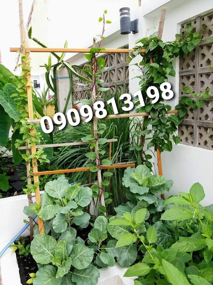 ♥️♥️Cần Bán/Cho thuê Nhà Bình Tân HXH trung tâm BTĐA SHR.♥️♥️ - Ảnh chính