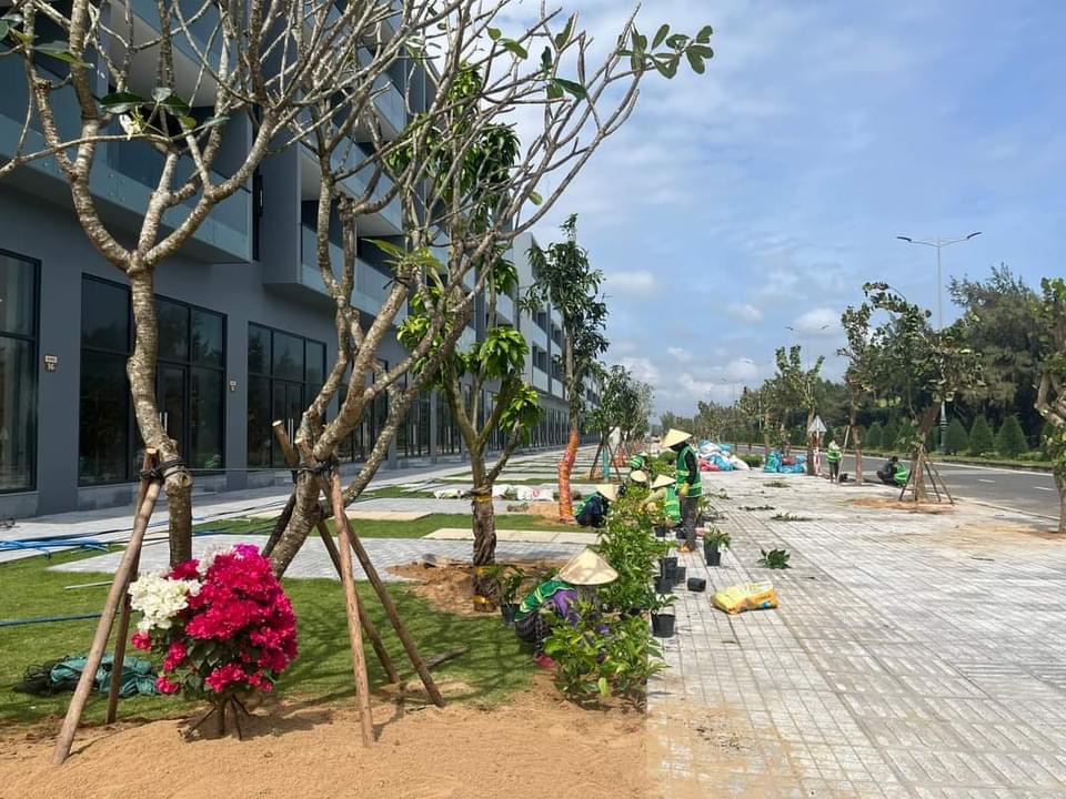 Bán BIỆT THỰ NGHỈ DƯỠNG ĐƠN LẬP 290m2 đất mặt biển TUY HOÀ - PHÚ YÊN. Lh:0961423415. - Ảnh 3