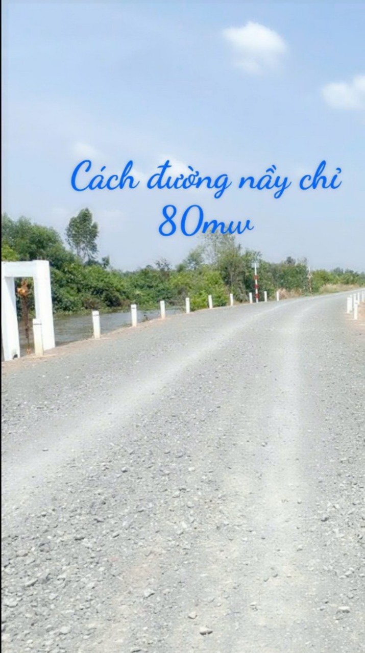 Quá Hót! 1200m2 đất vườn Long An, hỗ trợ chuyển full thổ, sổ riêng, 850tr/1000m 0772561828 - Ảnh chính