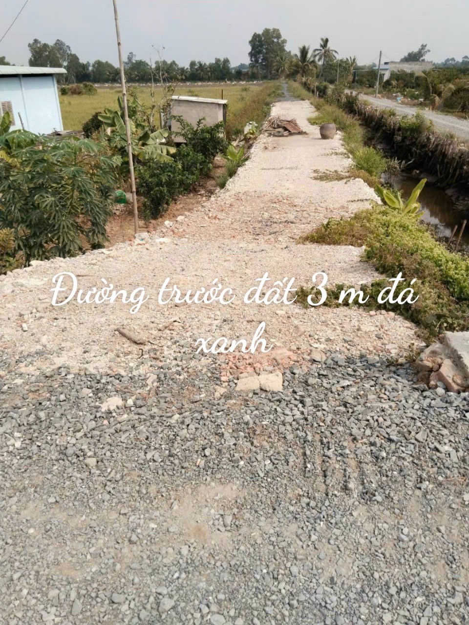 Quá Hót! 1200m2 đất vườn Long An, hỗ trợ chuyển full thổ, sổ riêng, 850tr/1000m 0772561828 - Ảnh 5