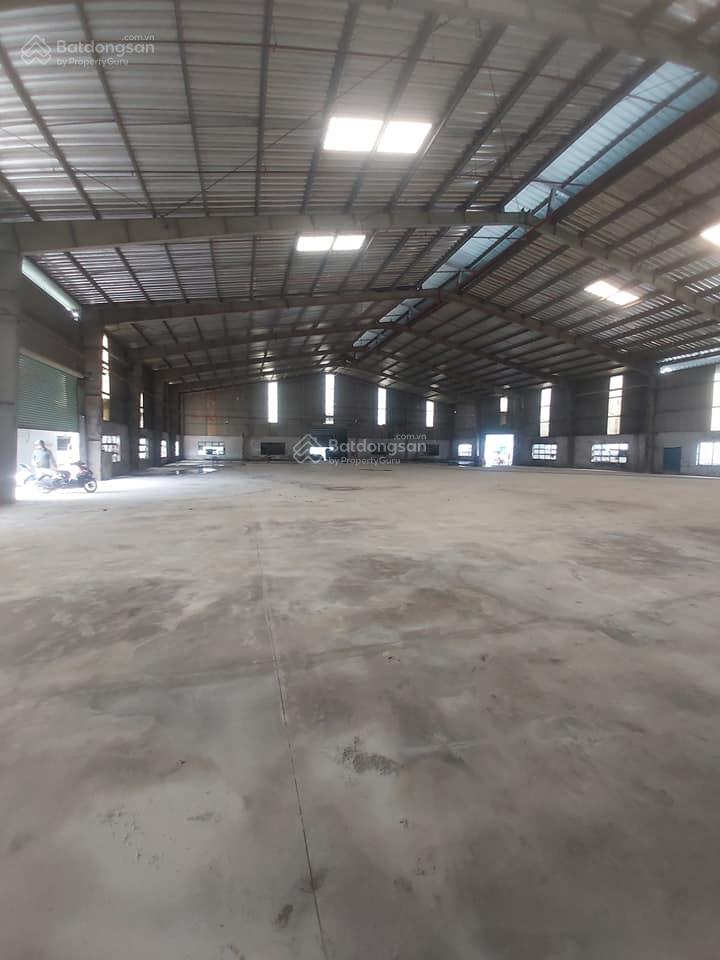Chính chủ cho thuê kho xưởng làm sân cầu lông p12 Gò Vấp 1000m2 75tr - Ảnh chính