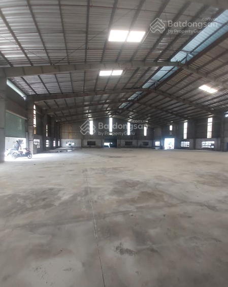 Chính chủ cho thuê kho xưởng làm sân cầu lông p12 Gò Vấp 1000m2 75tr - Ảnh 2