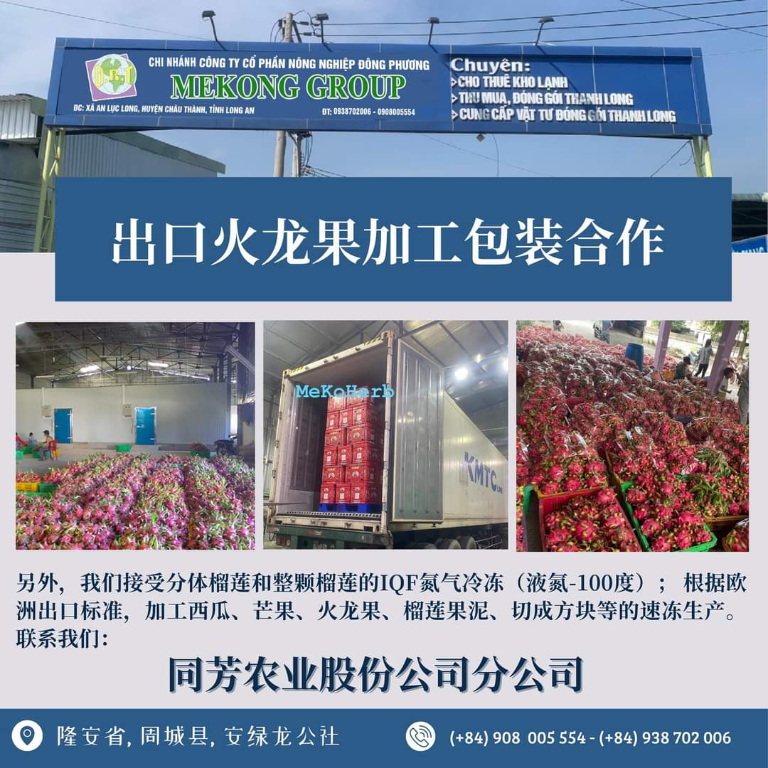 Cho thuê KHO tại Châu Thành – Long An 2200m2, MT đường lớn, giá 90tr/th. Lh:0908005554 – 0938702006. - Ảnh 1