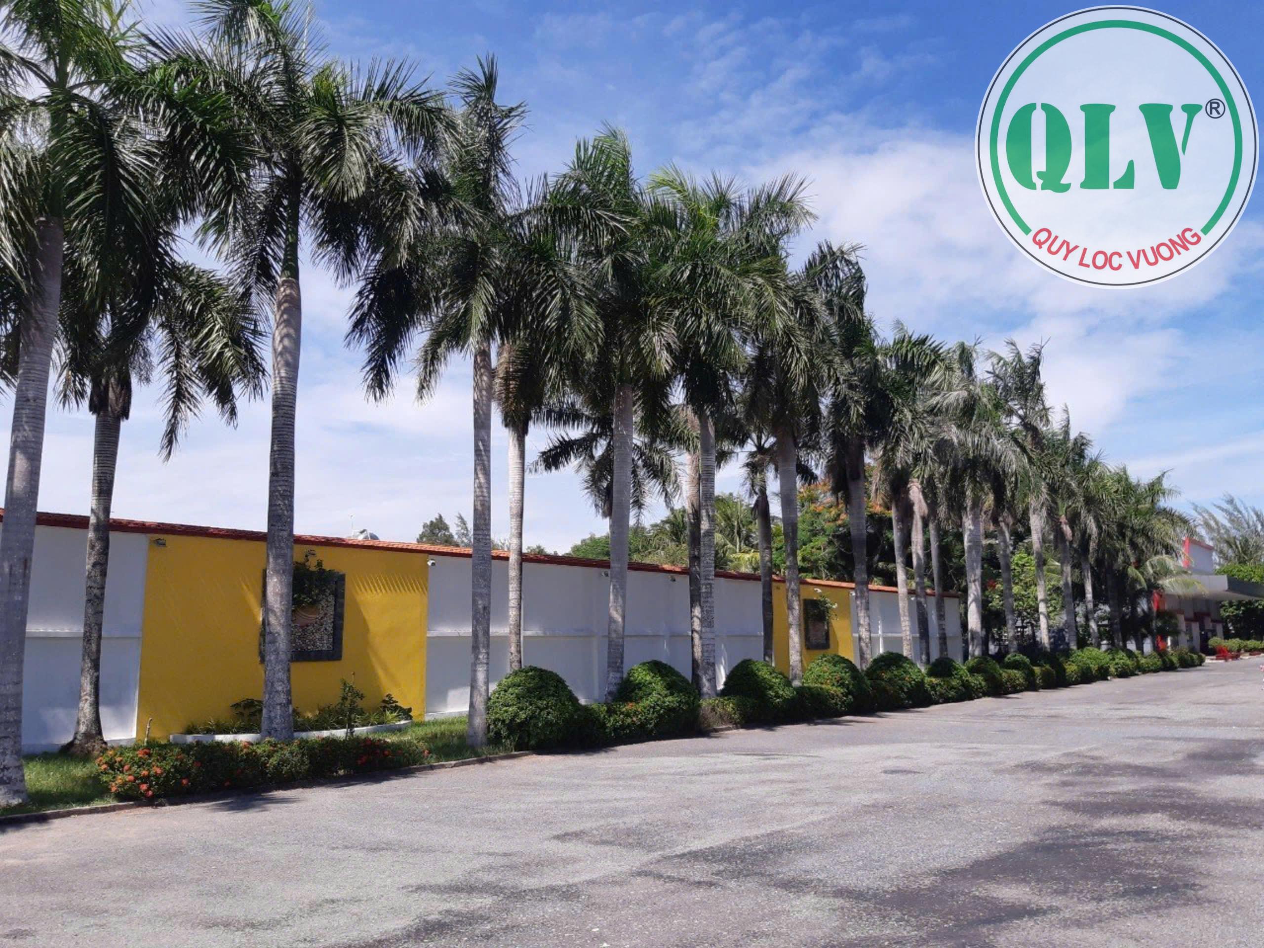 Cho thuê nhà xưởng khuôn viên 60.000 m2 nhiều xưởng tại CCN Bình Chánh, HCM - Ảnh chính