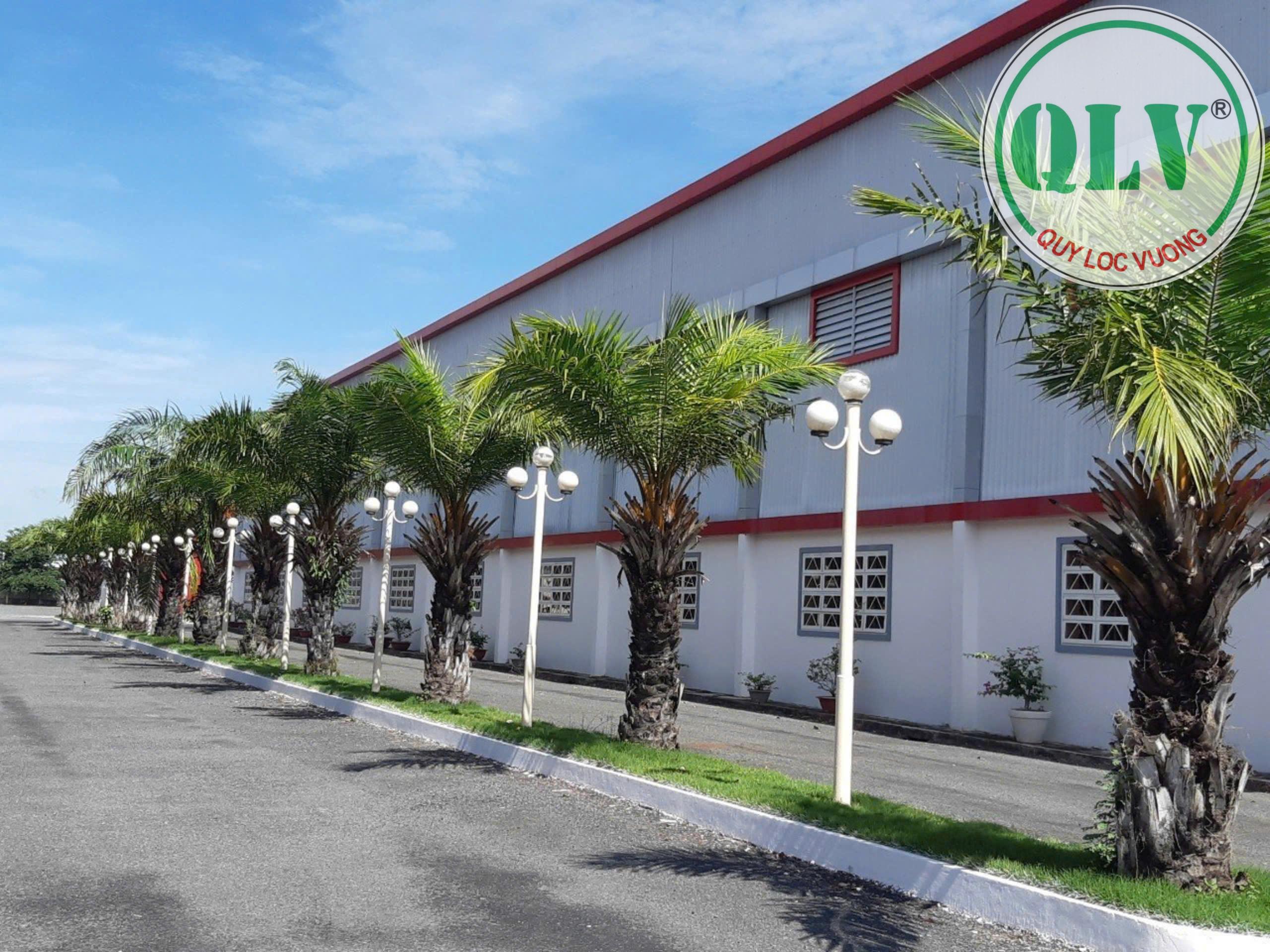 Cho thuê nhà xưởng khuôn viên 60.000 m2 nhiều xưởng tại CCN Bình Chánh, HCM - Ảnh 2