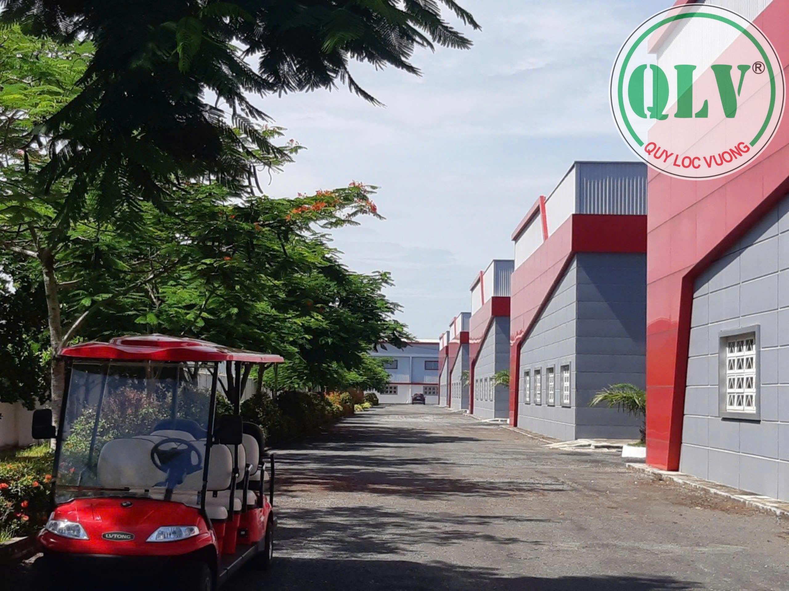 Cho thuê nhà xưởng khuôn viên 60.000 m2 nhiều xưởng tại CCN Bình Chánh, HCM - Ảnh 4