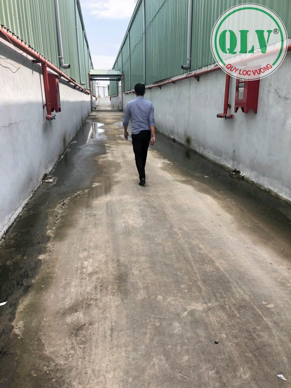 Cho thuê kho xưởng 3.100 m2 CCN Gốm Sứ Tân Hạnh, Biên Hòa, Đồng Nai - Ảnh chính