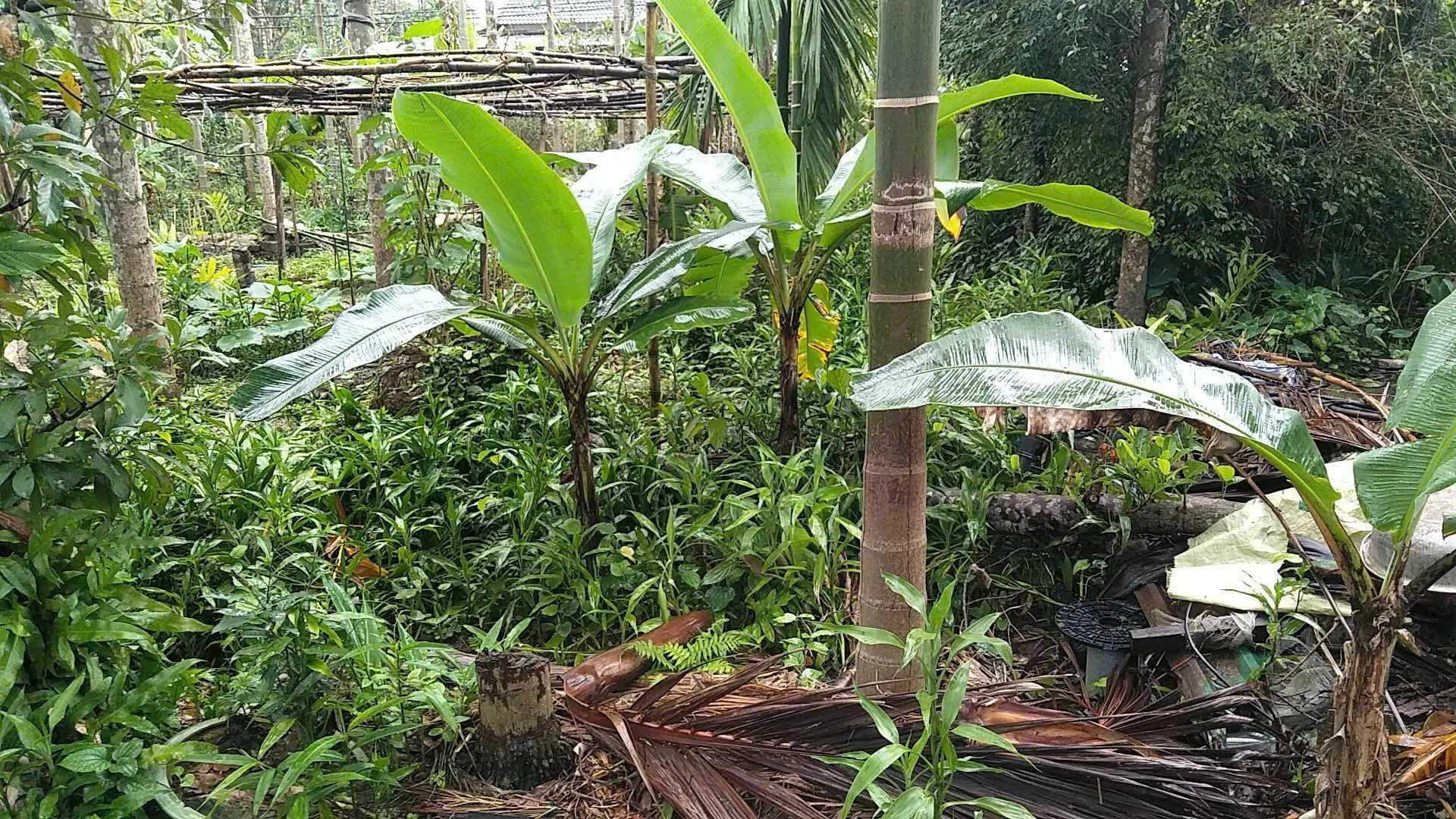 Bán 100m2 đất vị trí đẹp tại TT Huế, sổ hồng chính chủ, giá 5000tr/m2. Lh;0914560202. - Ảnh chính