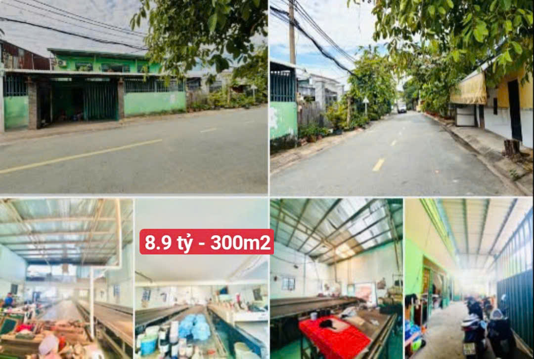 BÁN NHÀ KHU VỰC THỚI TAM THÔN HÓC MÔN, DT ĐA DẠNG, SỔ HỒNG RIÊNG, GIÁ ĐẦU TƯ LH:0968668768 - Ảnh chính