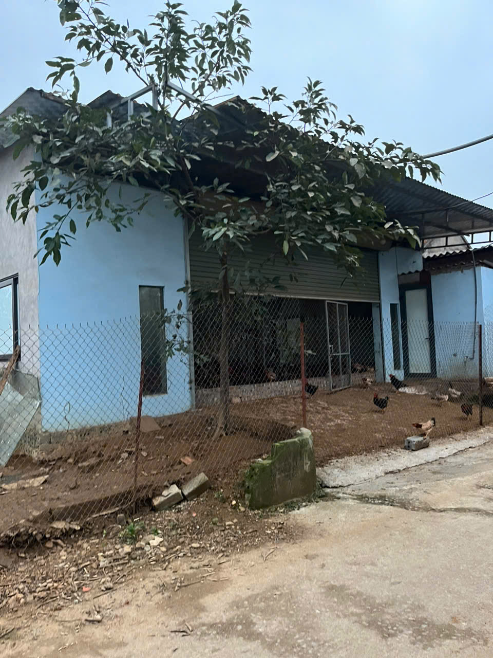 BÁN ĐẤT QUỐC OAI, HÀ NỘI – DT 567,8M2 – SỔ ĐỎ RIÊNG - GIÁ CHỈ 10TR/M2. LH:0904388877 - Ảnh 6