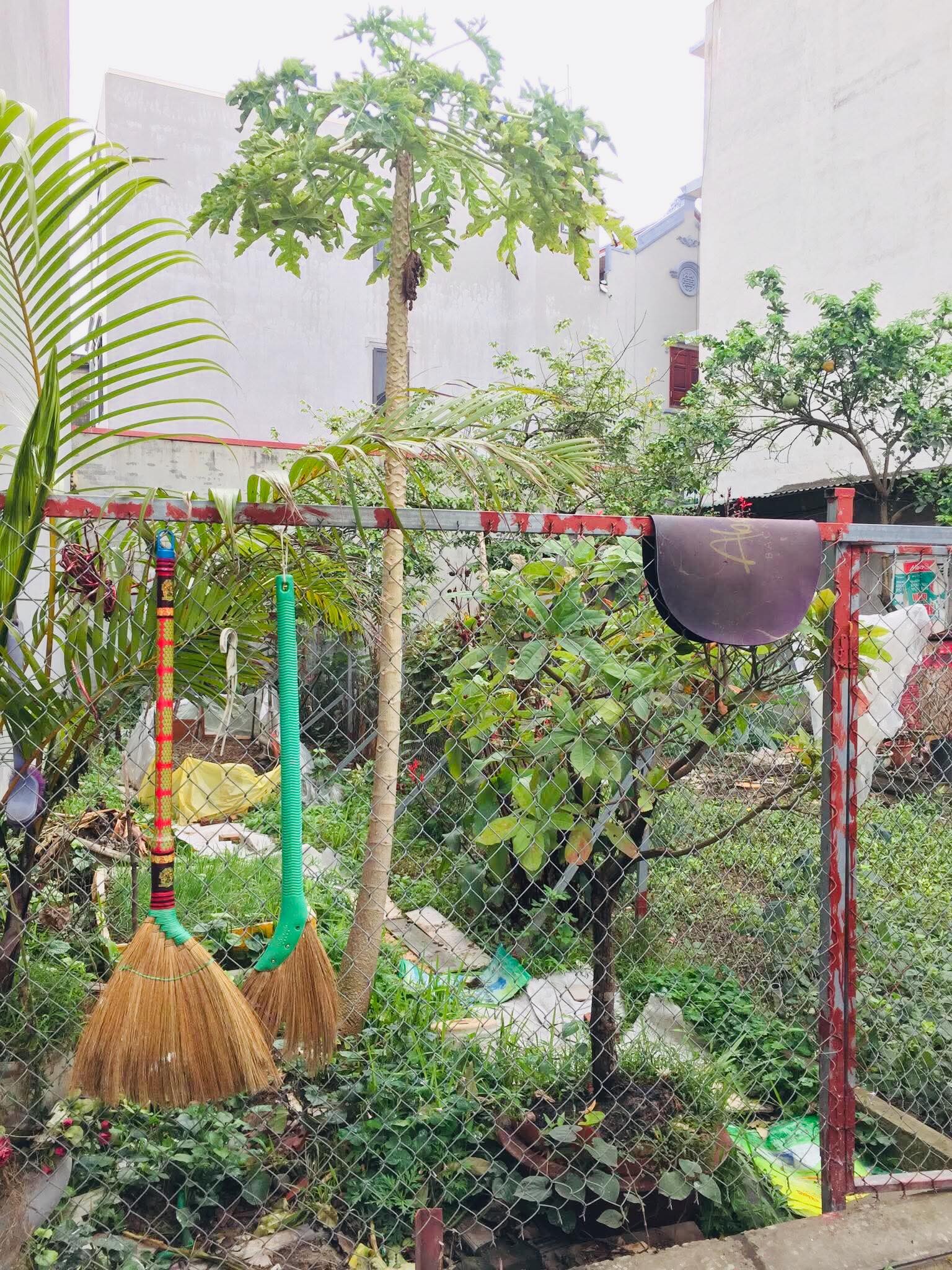 Ngô Xuân Quảng _ Gia Lâm _ Thửa Đất Vuông Đẹp _ Ngõ OTO _ ĐẸP HUẾM _ 42,5M _ GIÁ CHỈ 3,95 TỶ - Ảnh 2