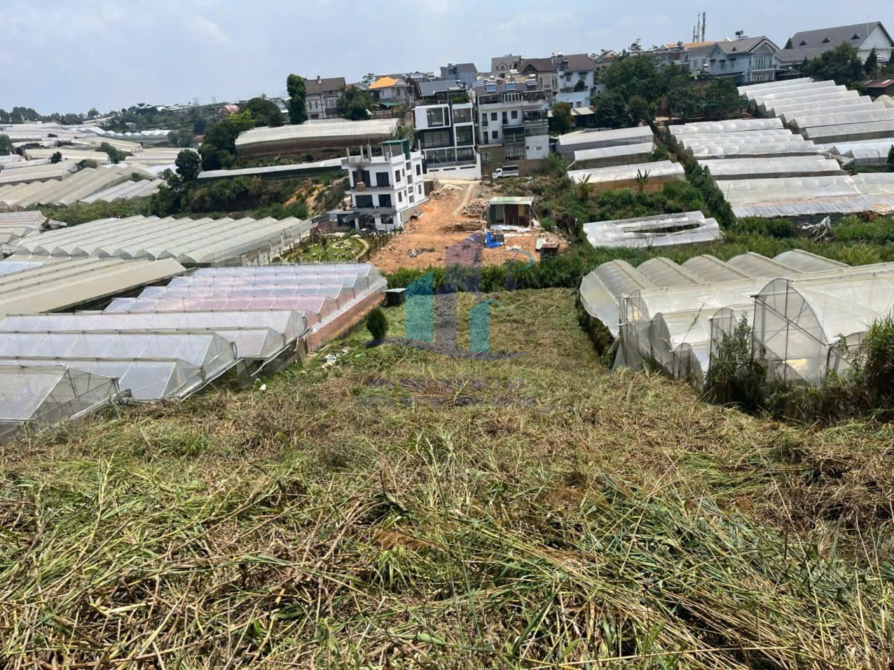 Bán Đất hẻm xe hơi đường Nguyễn Đình Quân, Phường 5, Đà Lạt 2236,5mv - Ảnh chính