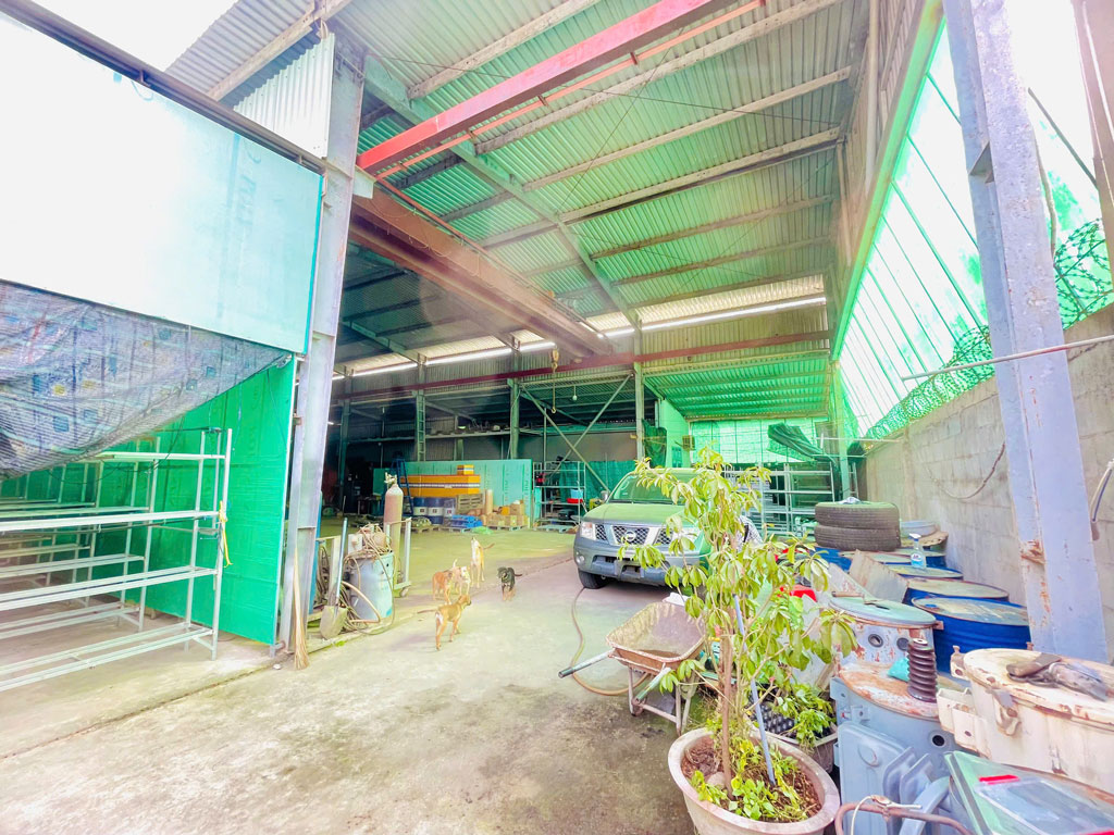 Bán nhà xưởng 2 mặt tiền đường Nguyễn Thị Nê - 1559m2 - 25x63 - 980m2 thổ cư - xã Phú Hòa Đông - Củ - Ảnh 2