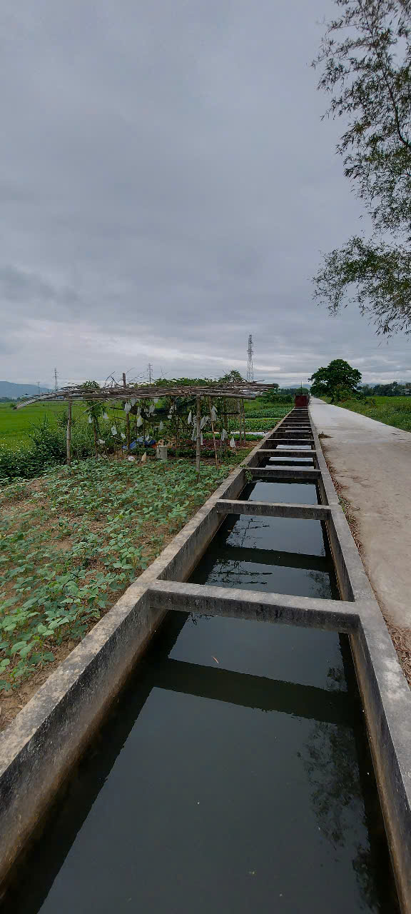 Bán đất Hoà Vang, Đà Nẵng. DT 95m2 thổ cư, sẵn SHR, chỉ 845 triệu. Lh:0798869855 - Ảnh 3