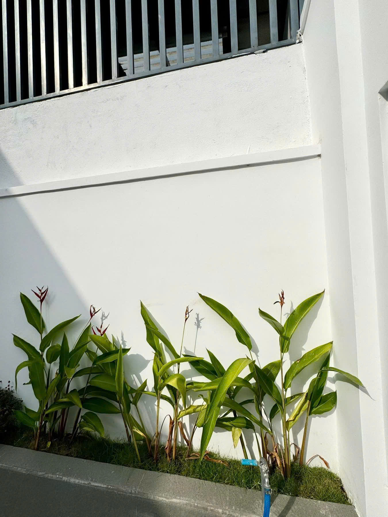 Nhà đường Nguyễn Siêu khu Phạm Ngũ Lão - P. Thành Công (6.5 x 25m) - Ảnh chính