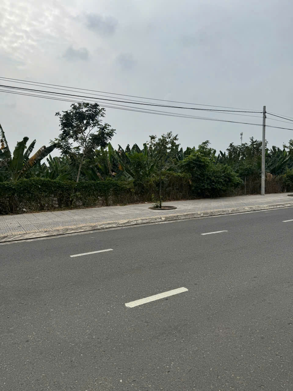 BẢN 899M ĐẤT MT TUYỂN TRÁNH QL 56 PHƯỜNG LONG HƯƠNG TP. BÀ RỊA, GIÁ 14 TỶ. LH:0938677702. - Ảnh chính