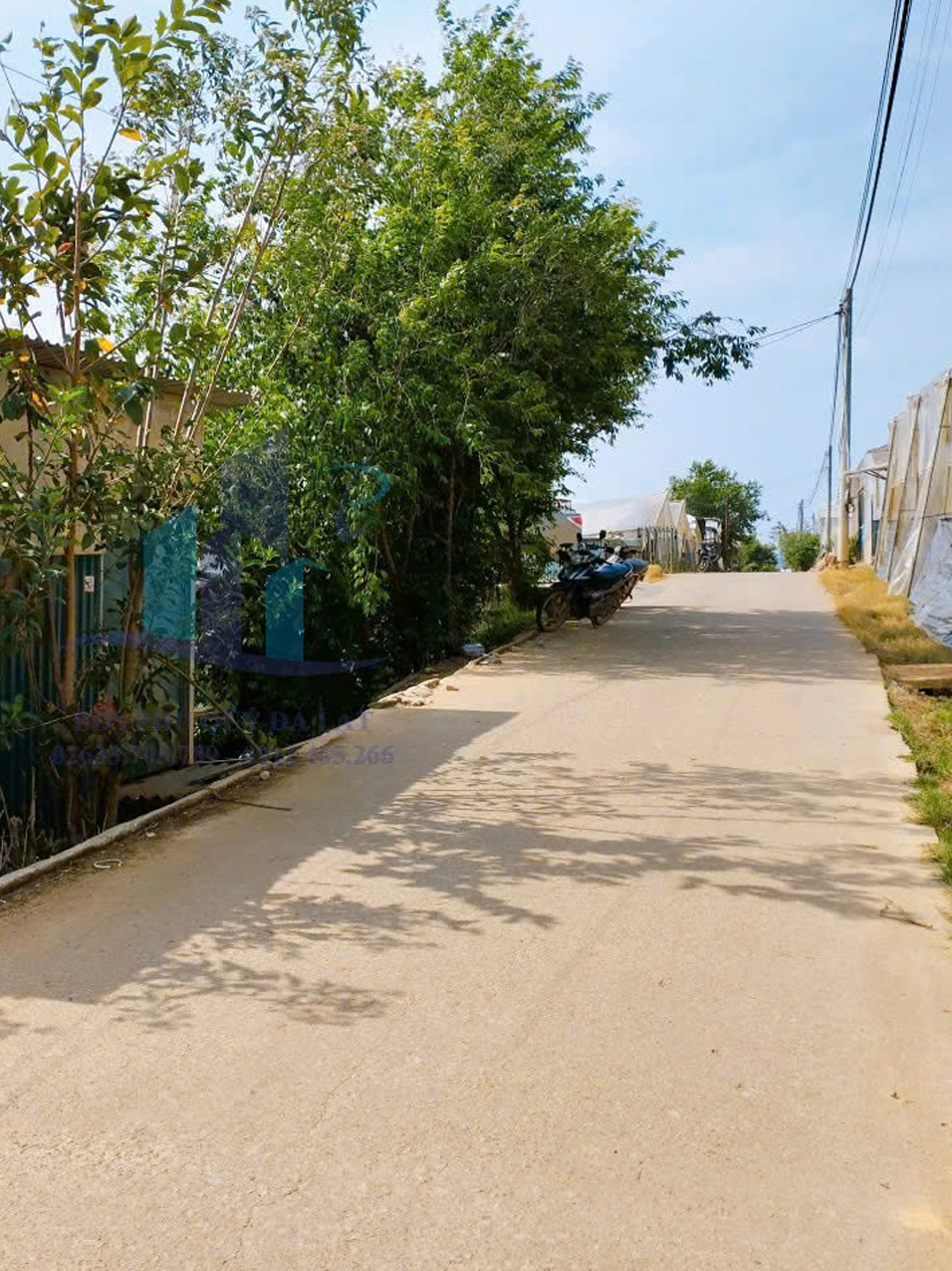 Bán Đất hẻm xe hơi đường Nguyên Tử Lực, Phường 8, Đà Lạt 6200mv - Ảnh chính