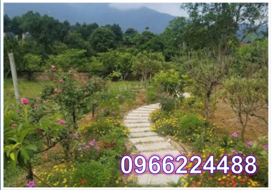 ⭐Bán đất nghỉ dưỡng 2900m2 tại Vân Hòa, Ba Vì, Hà Nội, 11,2tỷ; 0966224488 - Ảnh chính