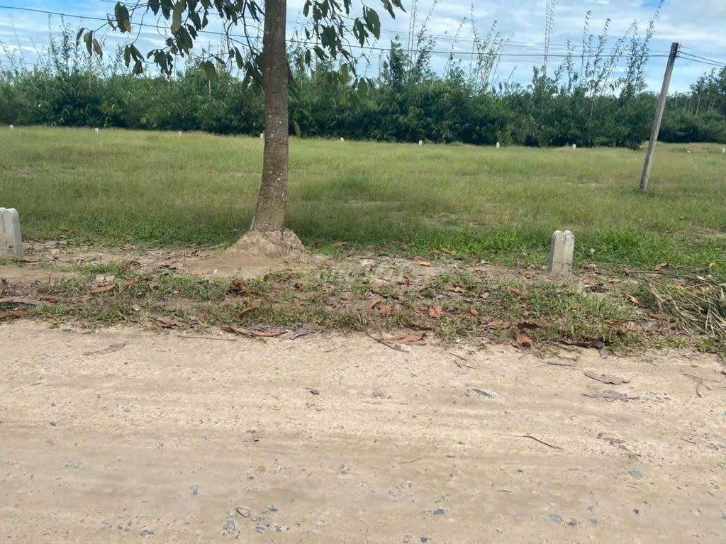 BÁN ĐẤT ĐƯỜNG TỈNH 781 HUYỆN DƯƠNG MINH CHÂU, TÂY NINH - DT 175M2 CHỈ 600TR. LH:0945900887 - Ảnh chính