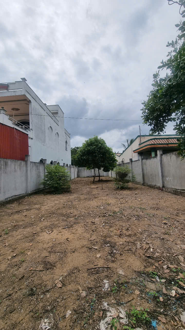 CHÍNH CHỦ BÁN 254M2 ĐẤT (CÓ 122M2 THỔ) TẠI XÃ TÂN NHỰT, BÌNH CHÁNH, 3.6 TỶ TL. LH:0902453616. - Ảnh chính