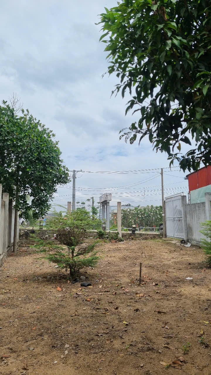 CHÍNH CHỦ BÁN 254M2 ĐẤT (CÓ 122M2 THỔ) TẠI XÃ TÂN NHỰT, BÌNH CHÁNH, 3.6 TỶ TL. LH:0902453616. - Ảnh 1