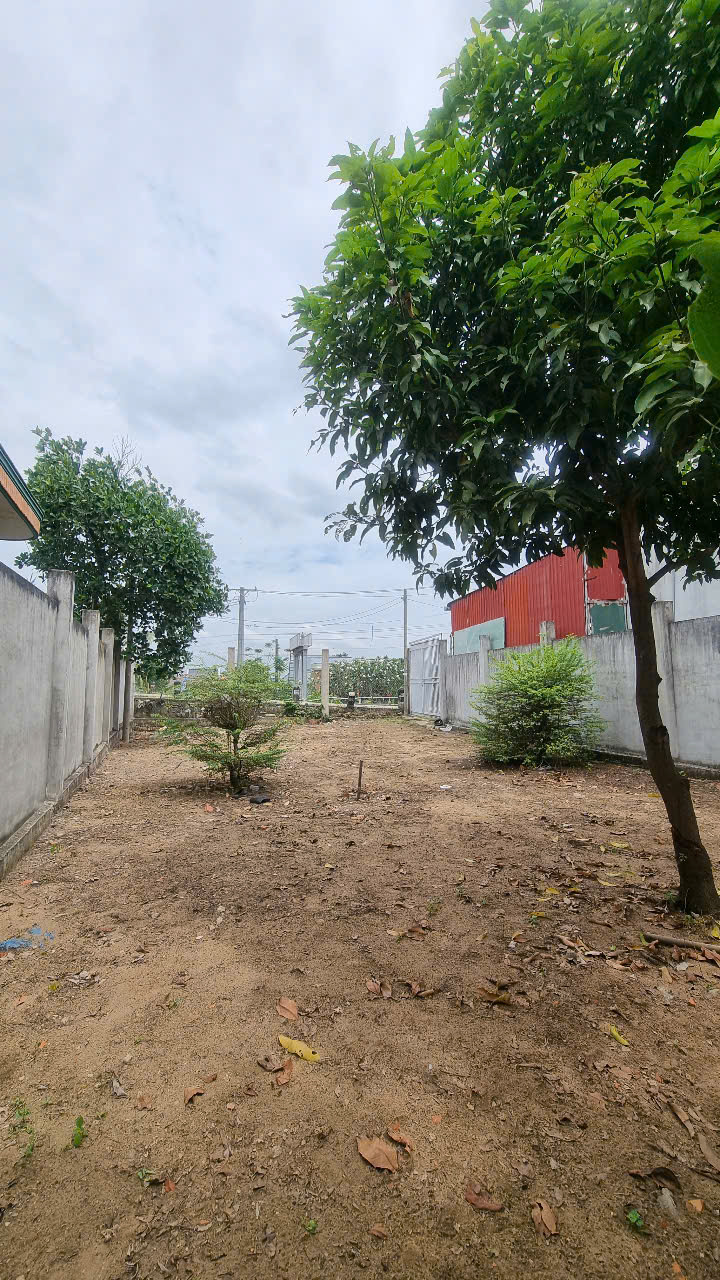 CHÍNH CHỦ BÁN 254M2 ĐẤT (CÓ 122M2 THỔ) TẠI XÃ TÂN NHỰT, BÌNH CHÁNH, 3.6 TỶ TL. LH:0902453616. - Ảnh 3