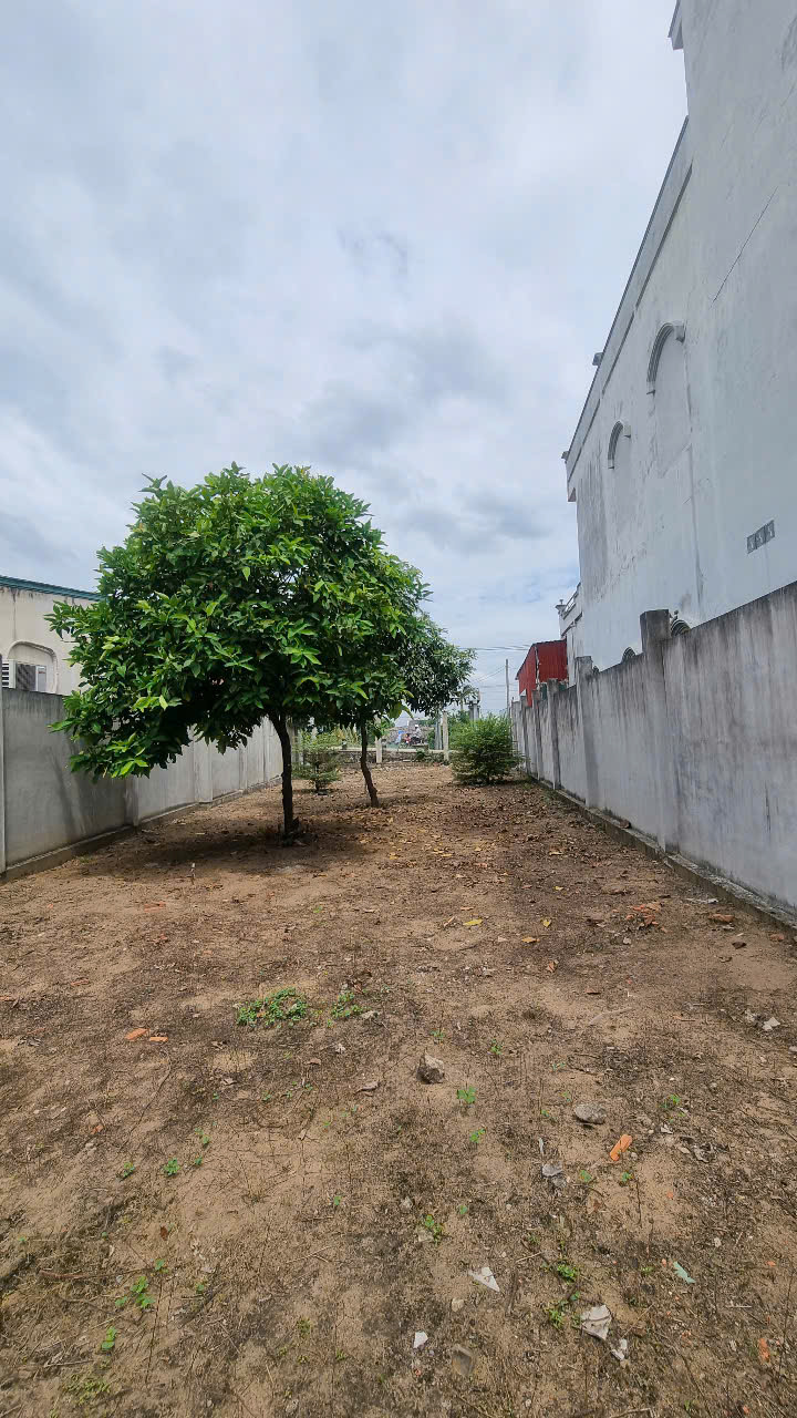 CHÍNH CHỦ BÁN 254M2 ĐẤT (CÓ 122M2 THỔ) TẠI XÃ TÂN NHỰT, BÌNH CHÁNH, 3.6 TỶ TL. LH:0902453616. - Ảnh 4