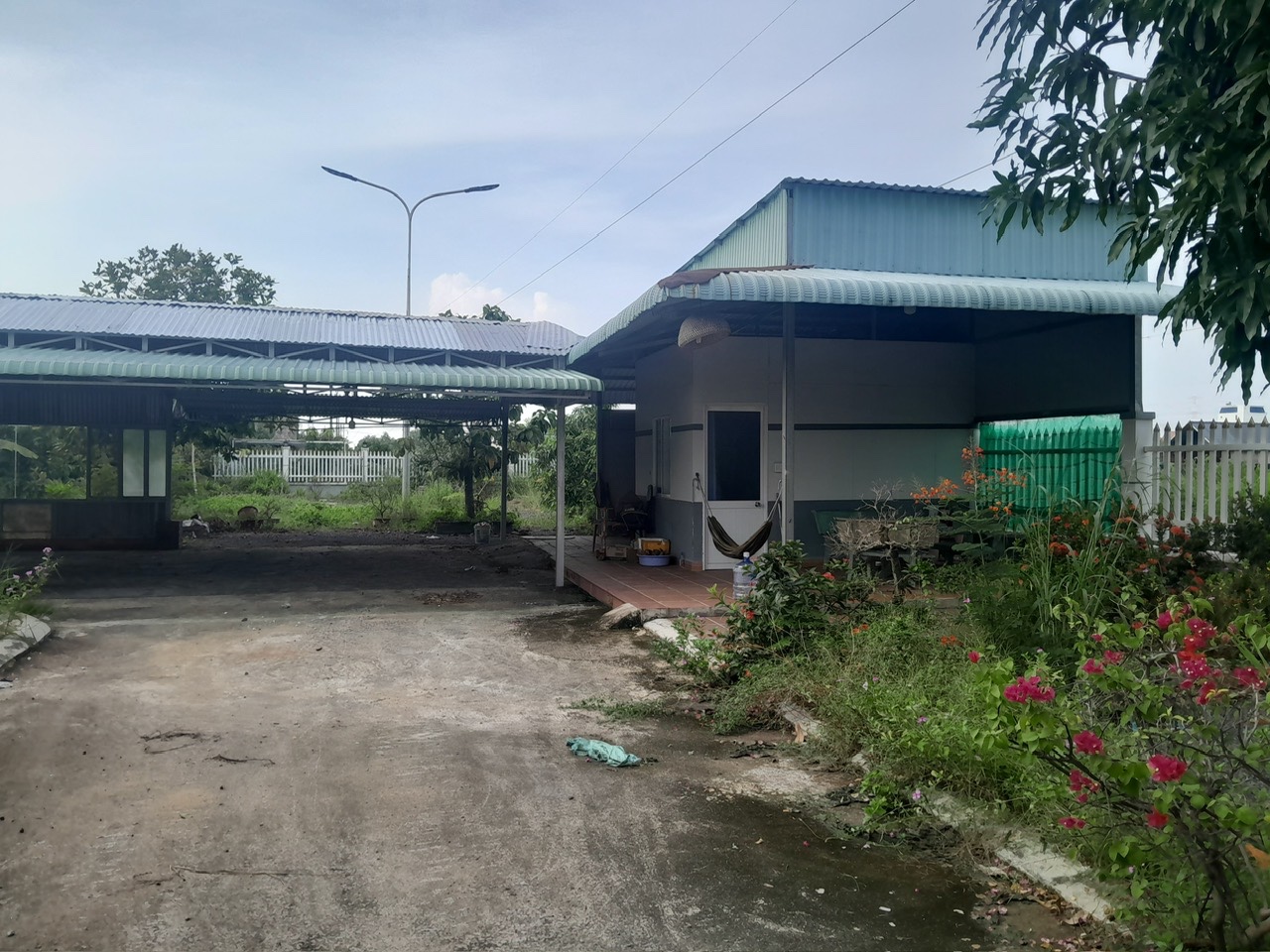 BÁN ĐẤT XÃ BÌNH KHÁNH, CẦN GIỜ, DT 982,20 M2, SẴN SỔ CÔNG CHỨNG NGAY, CHỈ 6 TỶ. LH:0973656515 - Ảnh 3