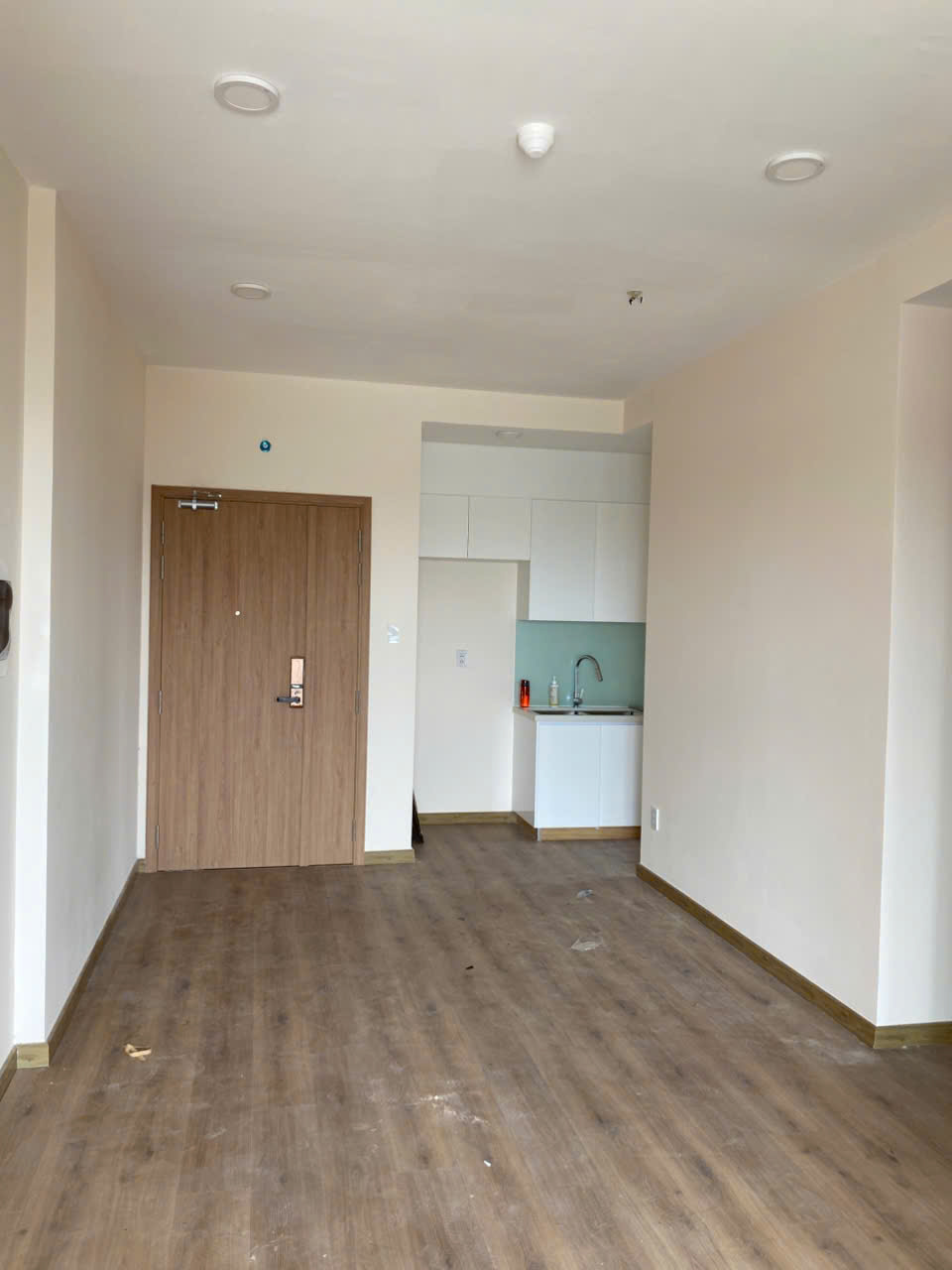 CHO THUÊ CĂN HỘ CHUNG CƯ VIVA PLAZA QUẬN 7 - TP HỒ CHÍ MINH - Ảnh chính
