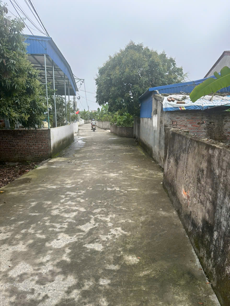 Gia đình chuyển nhà có nhu cầu bán lô đất 125m2 tại xã Thanh Hồng, huyện Thanh Hà. - Ảnh 1