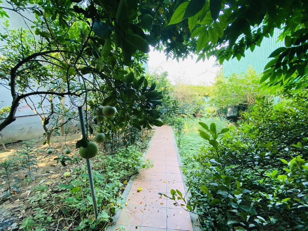 LÊ TRỌNG TẤN-THANH XUÂN,BIỆT THỰ SÂN VƯỜN, MẶT PHỐ TƯƠNG LAI - NHÀ QUAN CHỨC - THÔNG SỐ HOA HẬU - Ảnh 4
