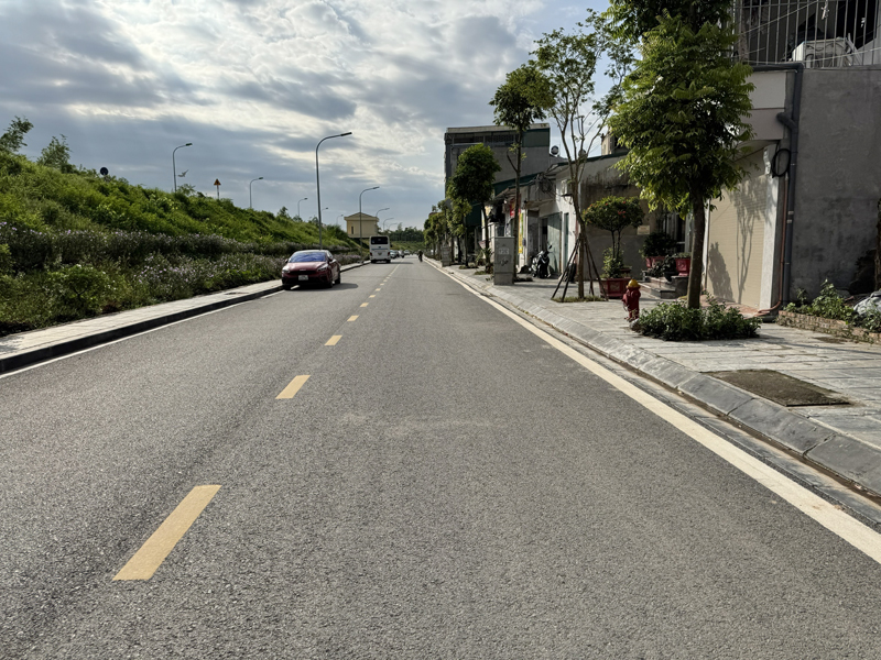 Bán nhà cấp 4, mặt tiền Đê Phúc Lợi: 114m2, ô tô tránh, view Sông Đuống, đầu tư sinh lời - Ảnh 2