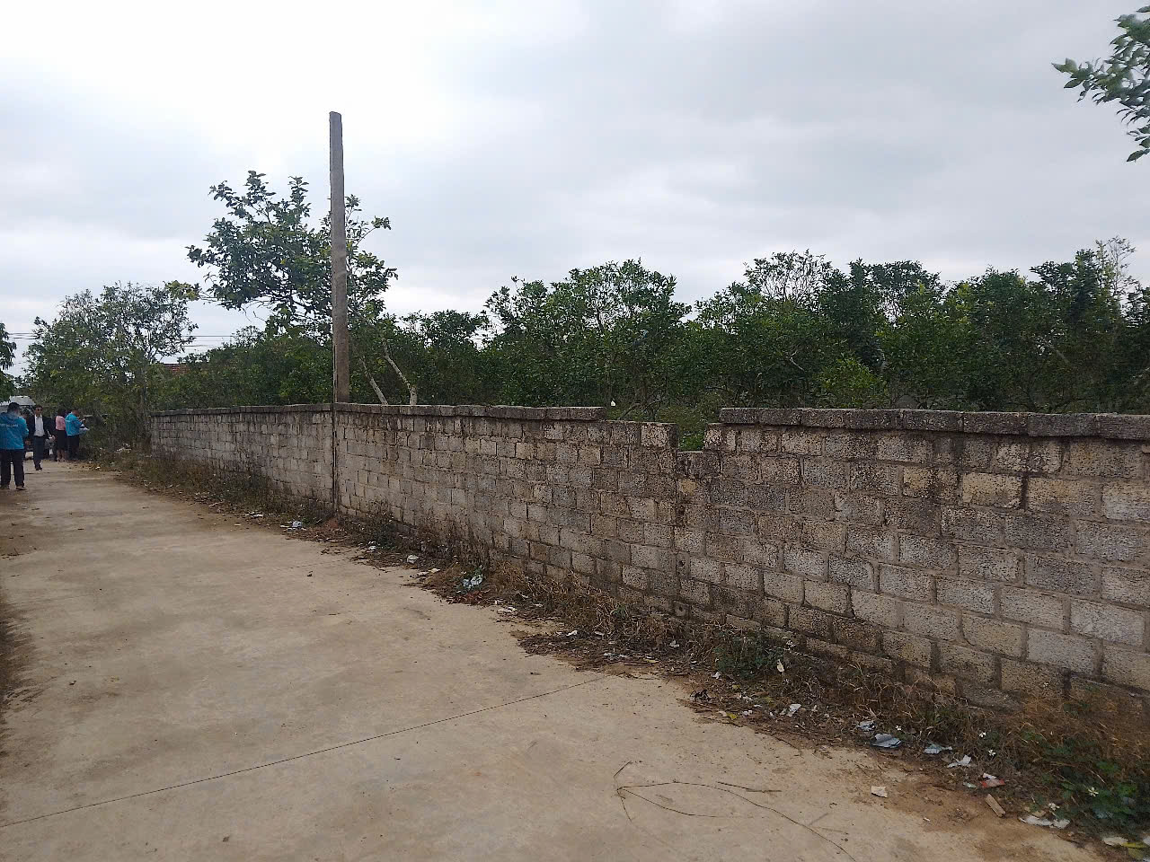 CẦN BÁN 6 LÔ ĐẤT ĐẸP-PHƯỜNG THANH HẢI-TX CHŨ-BẮC GIANG - Ảnh 2
