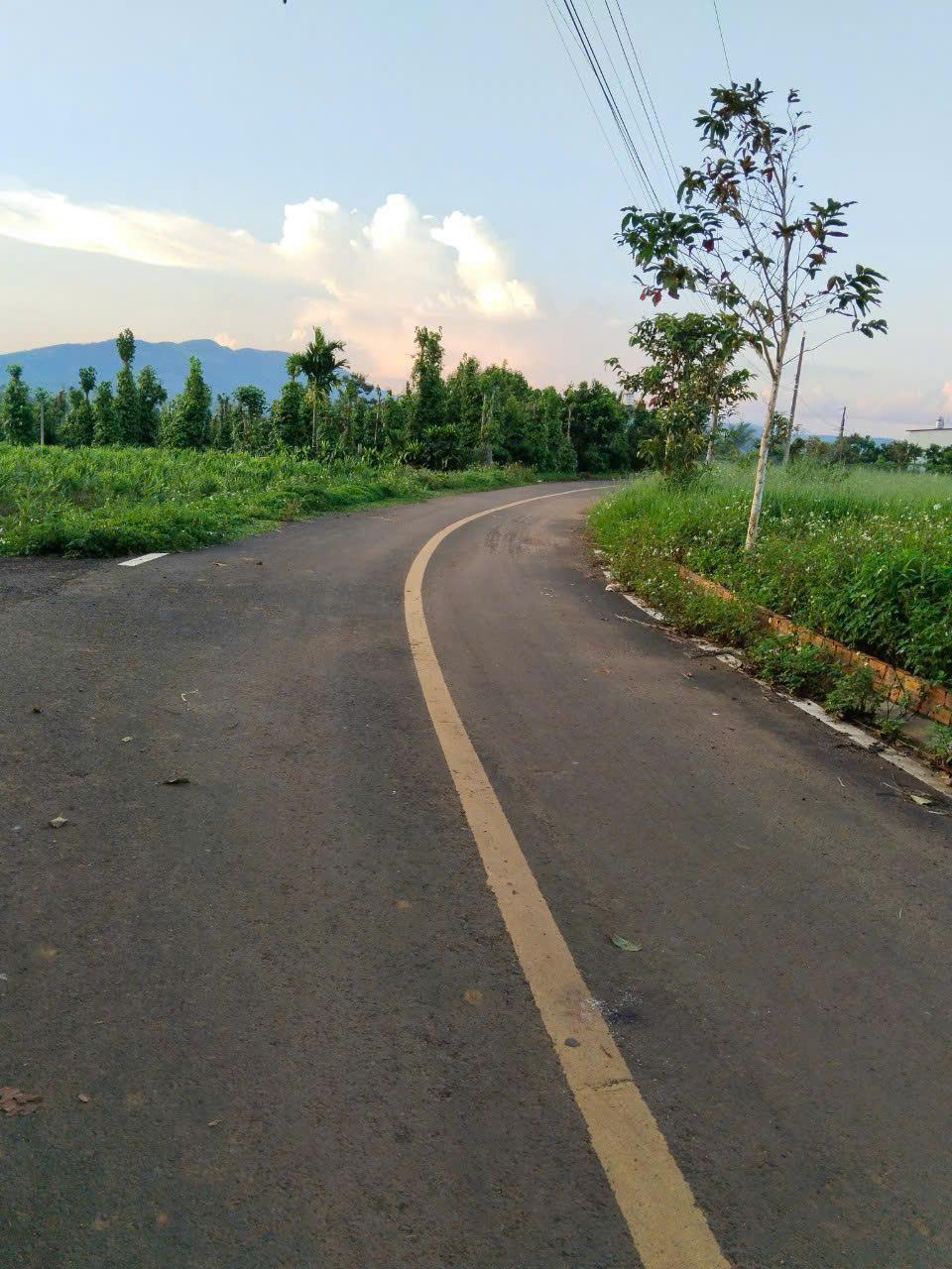 ĐẤT ĐẸP – GIÁ TỐT - CHÍNH CHỦ CẦN Bán Nhanh Lô Đất Tại Lộc Đức, Bảo Lâm, Lâm Đồng - Ảnh 4