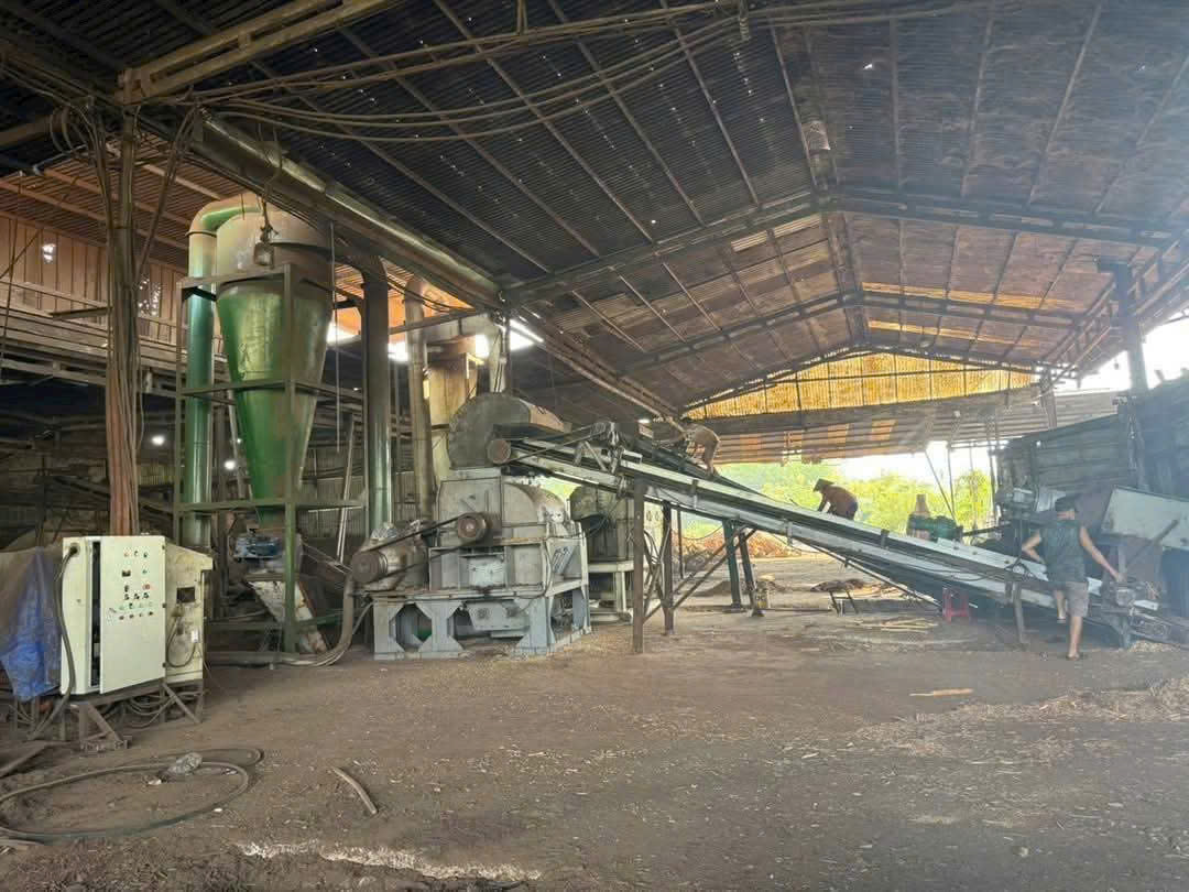 CHO THUÊ XƯỞNG CƯA XẺ VÀ VIÊN NÉN GỖ TẠI CHƠN THÀNH, BÌNH PHƯỚC Giá thuê toàn bộ: 1 tỷ/tháng - Ảnh chính