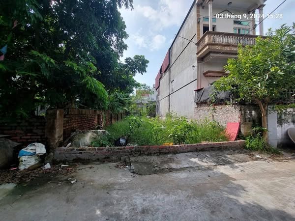 Đất Bắc Hồng 125m2, mt6m, 8.8 tỷ, ô tô 7 chỗ, chạy thông, gần phố, Đông Anh. - Ảnh chính