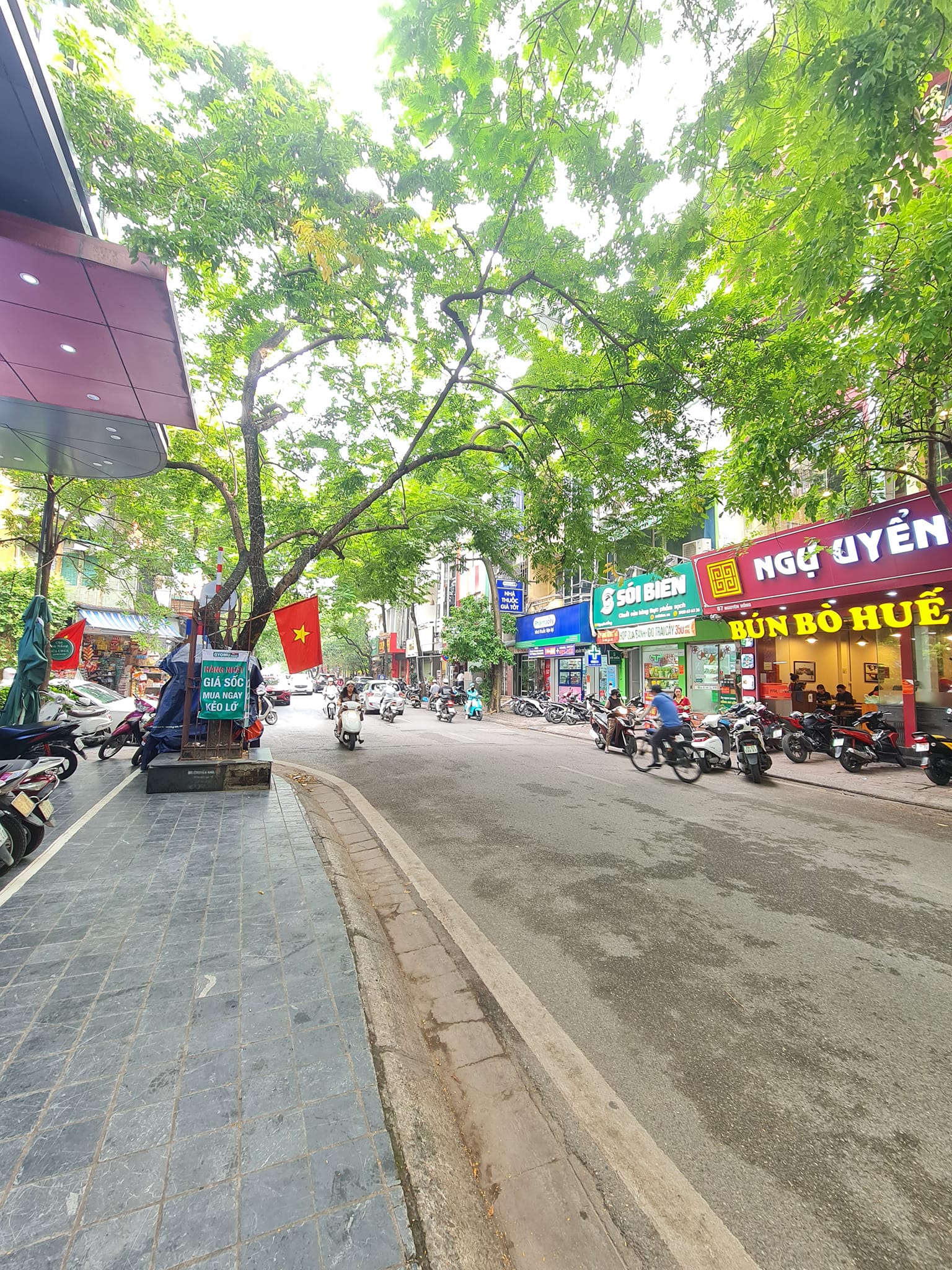 Phố VIP Nguyên Hồng 50m2 - 5 tầng - Mặt tiền 5m vỉa hè ô tô kinh doanh đỉnh giá 31 tỷ - Ảnh chính