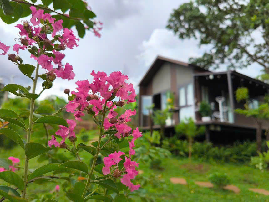 Căn Homestay 2 mặt tiền hẻm 19/5 phường EaTam - 50 x 20m - 6.7 tỷ - Ảnh 1