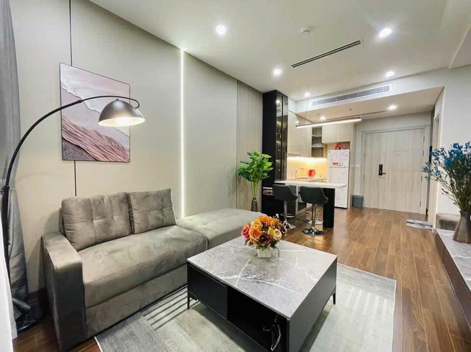 CHÍNH CHỦ BÁN CĂN HỘ 1PN+1 MASTERISE TÒA A - TẦNG 15 VIEW TRỰC DIỆN GIỮA HỒ, FULL NỘI THẤT KHU ĐÔ THỊ SMARTCITY NAM TỪ LIÊM - Ảnh 7