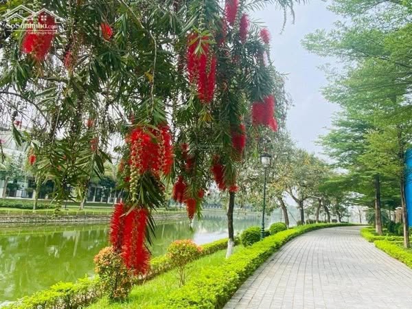 BÁN BIỆT THỰ- NHÀ VƯỜN VISTALAGO – SỐNG THƯỢNG LƯU ĐỘC QUYỀN GIỮA “TRÁI TIM” TÂY HÀ NỘI  GIÁ 3X TỶ - Ảnh 4