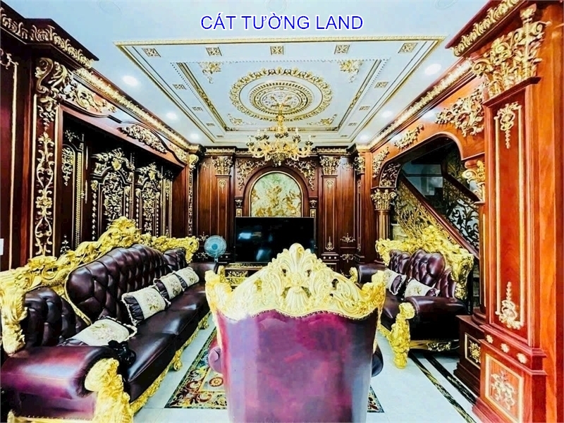 Biệt Thự Đẳng Cấp, Nội Thất Dát Vàng. Dương Quãng Hàm, Gò Vấp – Giáp Bình Thạnh - Ảnh 1