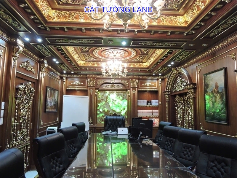 Biệt Thự Đẳng Cấp, Nội Thất Dát Vàng. Dương Quãng Hàm, Gò Vấp – Giáp Bình Thạnh - Ảnh 3