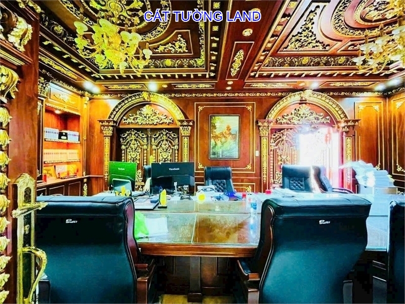 Biệt Thự Đẳng Cấp, Nội Thất Dát Vàng. Dương Quãng Hàm, Gò Vấp – Giáp Bình Thạnh - Ảnh 2