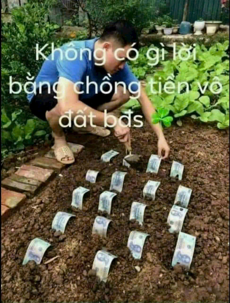 CHÍNH CHỦ GỬI BÁN ĐẤT DỊCH VỤ XÃ AN THƯỢNG - GIÁ RẺ NHẤT THỊ TRƯỜNG - Ảnh 4