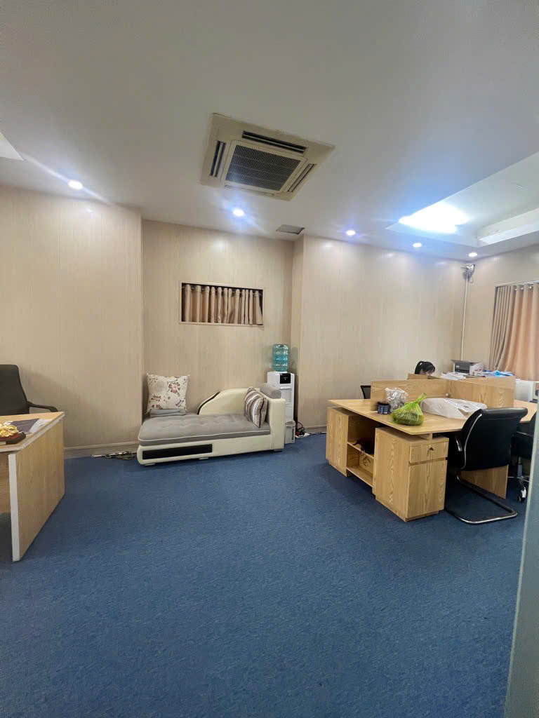 Biệt thự Pháp Vân ( Trần Thủ Độ ) 350  m2 - 56 tỷ - Ảnh 3